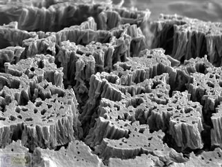 Cris Orfescu: 'Nano Canyons', 2012 Other Sculpture, Science.  Nanosculpture: arrays of vertically aligned carbon nanotubes visualized with a scanning electron microscope. The image was captured in a computer and printed on Epson Ultra Premium Photo Paper Luster with archival inks specially formulated to last for a long time. This way, the nanosculpture could be viewed by large audiences...