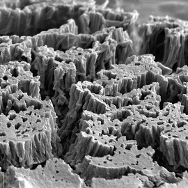 Cris Orfescu: 'Nano Canyons', 2012 Other Sculpture, Science. Artist Description:  Nanosculpture: arrays of vertically aligned carbon nanotubes visualized with a scanning electron microscope. The image was captured in a computer and printed on Epson Ultra Premium Photo Paper Luster with archival inks specially formulated to last for a long time. This way, the nanosculpture could be viewed by ...