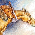 horses By Shahid Rana