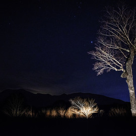 Natalie Barry: 'mountain top', 2019 Digital Photograph, Sky. Artist Description: This shows that what we may see in the sky is bigger than we thought.  The relationship between the tree in front may seem big, but compared to the mountains in the back and the endless night sky above, we are small, but have a big impact. ...