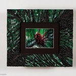 pine cones By Natalie Mcguire