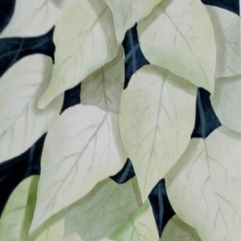 leaf fantasy By Nazir Khatry