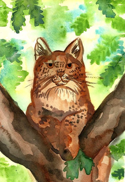 Artist Niina Niskanen. 'Lynx' Artwork Image, Created in 2015, Original Illustration. #art #artist