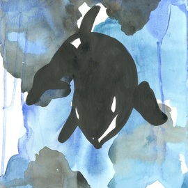 orca By Niina Niskanen