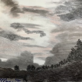 Nicole Maurer: 'twlight', 2021 Charcoal Drawing, Landscape. Artist Description: Vine  Nitram  Tinted Charcoal, a picture that I had taken...