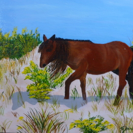 dune pony By Marilyn Domilski