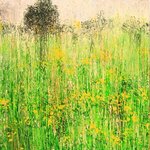 yellow field By Nora Franko