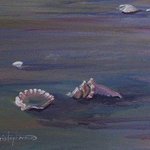 Florida Fort Meyers Beach Shells By William Christopherson