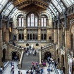 Natural History Museum By Des Byrne