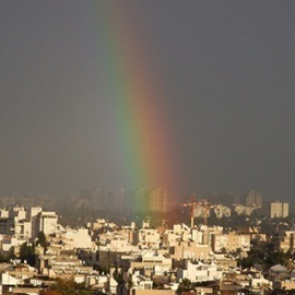 Orly Droval: 'After rain ', 2010 Color Photograph, Landscape. Artist Description:  the view from my window  ...