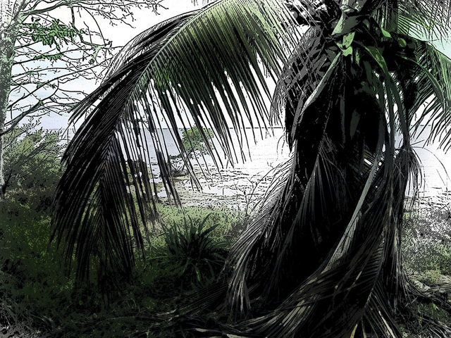 Artist Stephen Robinson. 'Palm Tree' Artwork Image, Created in 2017, Original Photography Digital. #art #artist