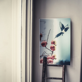 Veroniki Velli Artwork Flying, 2016 Collage, Birds