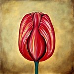 Tulip I By Ozgul Tuzcu