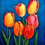 Tulips By Ozgul Tuzcu