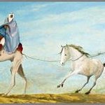 arabian horse trader By Ozzie Kajtezovic