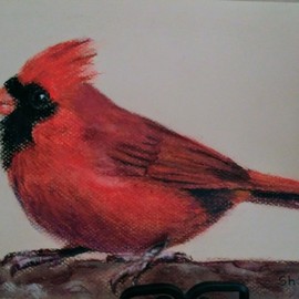 Cardinal, Shakeeba Waseh