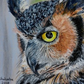 owl1 By Shakeeba Waseh