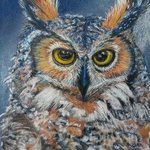 Owl2, Shakeeba Waseh