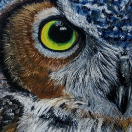 owl3 By Shakeeba Waseh