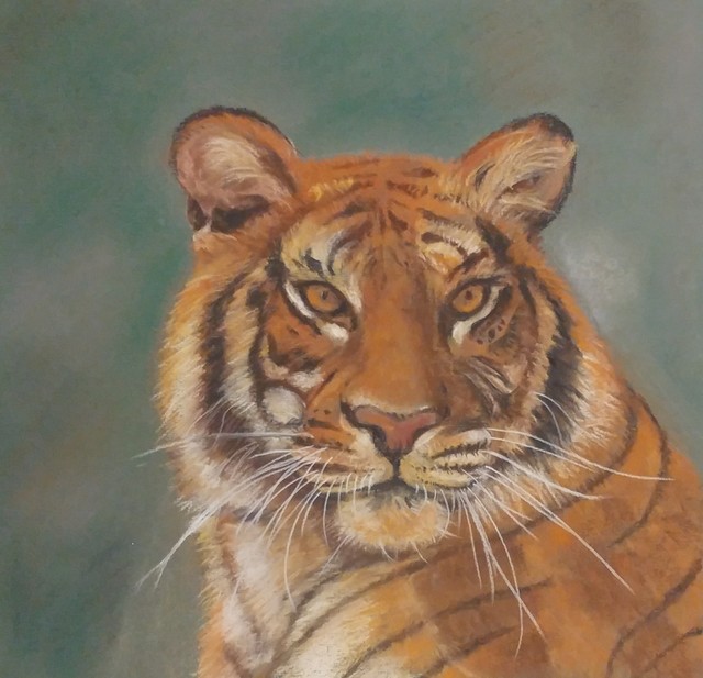 Artist Shakeeba Waseh. 'Tiger' Artwork Image, Created in 2018, Original Pastel. #art #artist