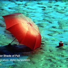Pamela Henry: 'A Lighter Shade of Pail', 2004 Other Photography, Seascape. Artist Description: Color photo, digital manipulation. Signed, archival photo lustre giclee print....