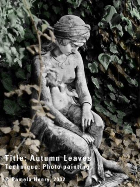 Artist Pamela Henry. 'Autumn Leaves' Artwork Image, Created in 2002, Original Photography Black and White. #art #artist