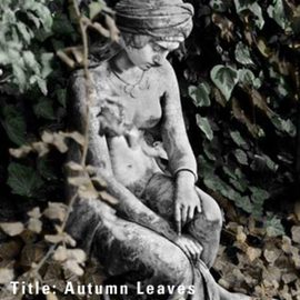 Autumn Leaves By Pamela Henry