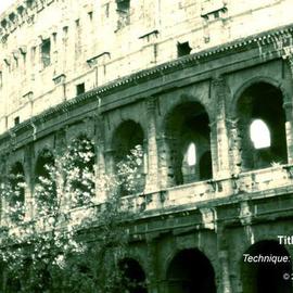 Colosseo By Pamela Henry
