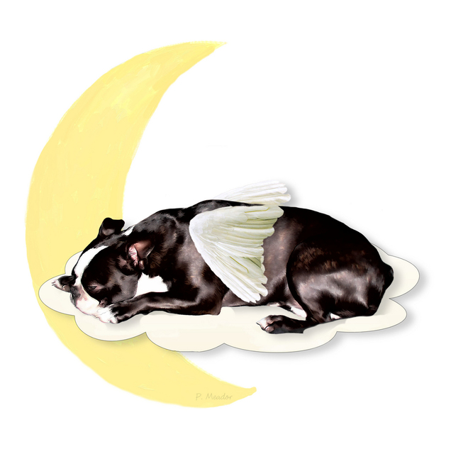 Artist Patti Meador. 'Boston Terrier Angel' Artwork Image, Created in 2004, Original Digital Art. #art #artist