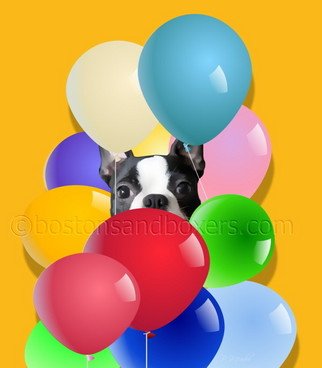 Patti Meador: 'Boston Terrier Celebration', 2009 Digital Art, Dogs.  Adorable Boston Terrier peeking over a big bouquet of festive balloons. Super choice for Father's Day, Mother' s Day, birthdays, showers, anniversaries, whatever! If on sky blue gradient background, the background is a separate image and is optional. 