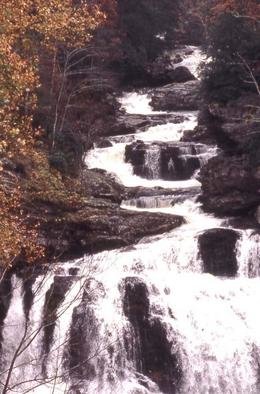 Paula Durbin: 'Carolina Waterfall', 2001 Color Photograph, Landscape. Fresson Print.  May be printed in other sizes and processes. ...