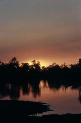 Paula Durbin: 'Zambian Sunset', 2001 Color Photograph, nature. Zambian sunset. A Fresson print.May be printed in other sizes and processes.  ...