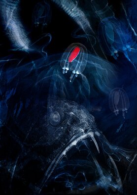 Pauldavid Redfern: 'abyssal viper', 2010 Digital Art, Fish. Digital works on various themes created for the international events to which I am invited. Possibility of commissioned creations. ...