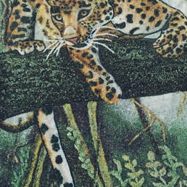 Nature With Tiger, Dinusha Priyanath
