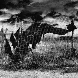Pasquale Petrucci: 'contemporary realism 03', 2015 Black and White Photograph, Landscape. Artist Description: It belongs to the cycle of contemporary realism photographs. ...