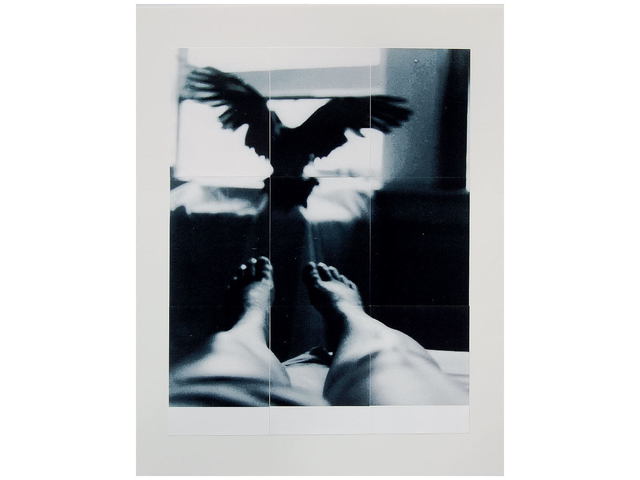 Marilyn Nosewicz  'Bird  Window Room Figure Black White Silver Gelatin Photograph', created in 2011, Original Printmaking Giclee - Open Edition.