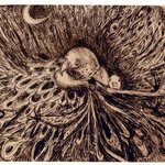Birds Nest Chaos Crescent Moon Drawing Print By Marilyn Nosewicz