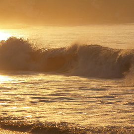 Timothy Oleary: 'Golden Wave', 2008 Other Photography, Spiritual. Artist Description:  The ocean heals with her golden light. ...