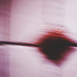 C. A. Hoffman: 'Bloodstained and Clueless', 2009 Color Photograph, Abstract. 