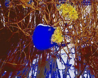 C. A. Hoffman: 'Blue Bonnett II', 2011 Color Photograph, Abstract Landscape.  This an original photo that has been digitally- enhanced to create an original work of art. All pieces are available in sizes up to 16 x 20 inches.                                                                                                                                                               ...