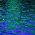 Blue Color Splash IV By C. A. Hoffman