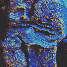 C. A. Hoffman: 'Blue FatBottomed and Rough ', 2009 Color Photograph, Abstract. Artist Description:  One of my pieces from  