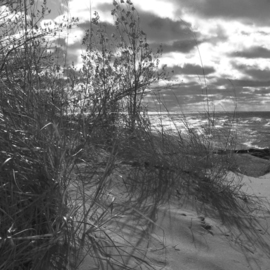 C. A. Hoffman: 'Dawns Early Light', 2010 Black and White Photograph, Landscape. Artist Description:   This is an original photo that has been digitally- painted to create an original work of art.                                                                                ...