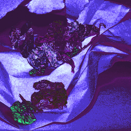 C. A. Hoffman: 'Down and Discarded Lavenders', 2009 Color Photograph, Abstract. 