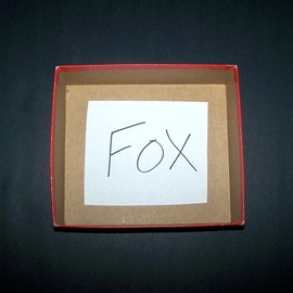 C. A. Hoffman: 'Fox in a Box', 2008 Color Photograph, Abstract Figurative. 