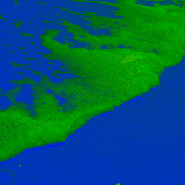 Green Sea Of Foam, C. A. Hoffman