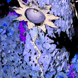 My Blue Sunflower By C. A. Hoffman