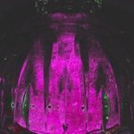 Nexiuums Purple Dome By C. A. Hoffman