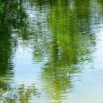 Serenity Lake Impressionism By C. A. Hoffman