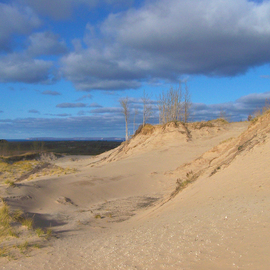 C. A. Hoffman: 'The Last Stand', 2008 Color Photograph, Landscape. Artist Description:  This is a photo from one of my Sleeping Bear Dunes collection. I thought the bright  blue sky was very striking against the vast and encompassing sands of the dunes.All photos are available in sizes up to 16x20 inches. ...